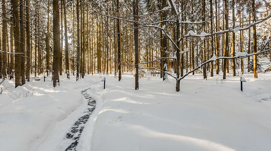 Резиденция в КП Таганьково-5