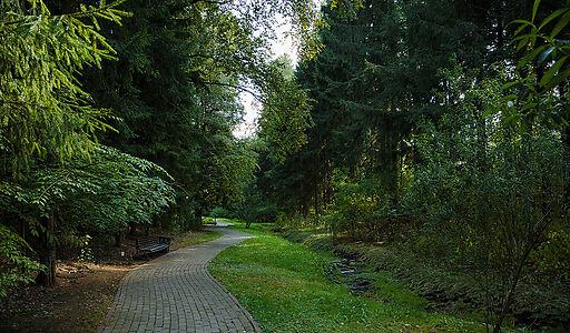 Участок в КП Новогорск-7