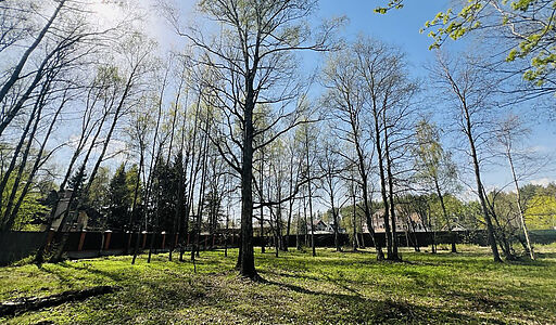 Участок в КП Новогорск-7