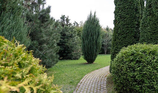 Дом в КП Княжье озеро