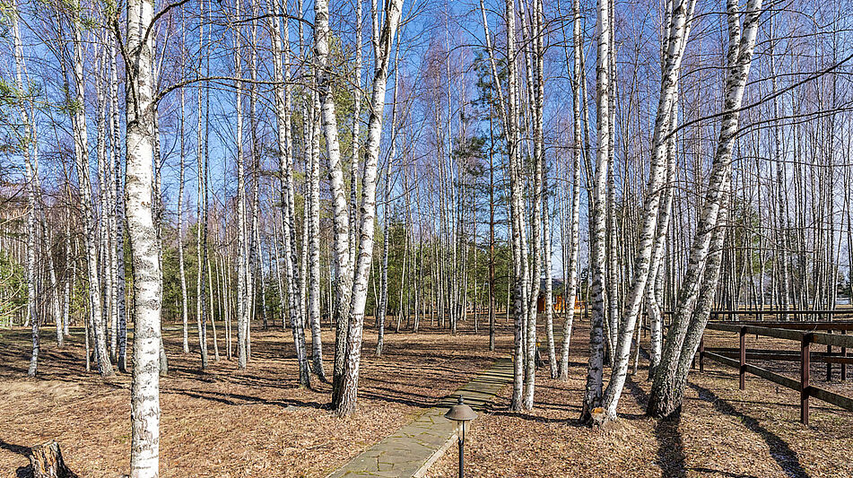 Участок на первой линии Волги