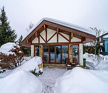 Дом на просторном участке Пестово