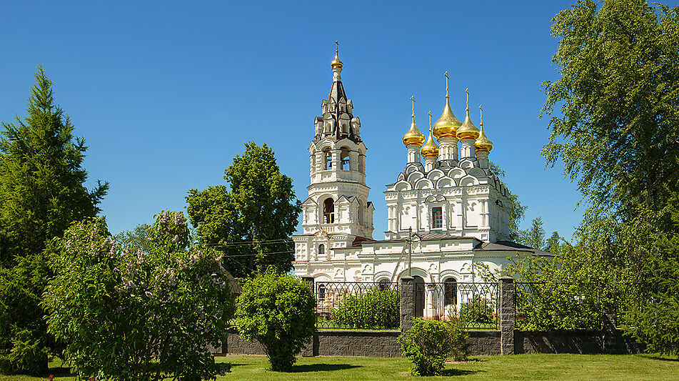 Дом на просторном участке Пестово