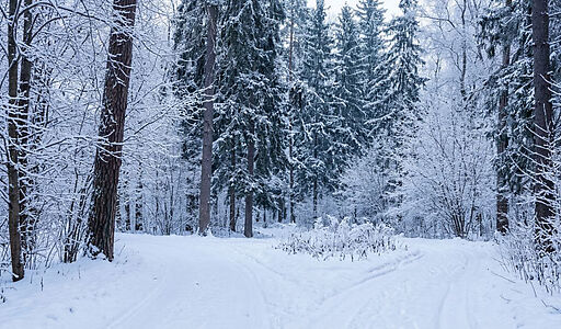 Готовый дом в КП Горки-1 (Дрофа)