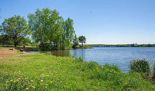 Дом под ключ в Новосельцево
