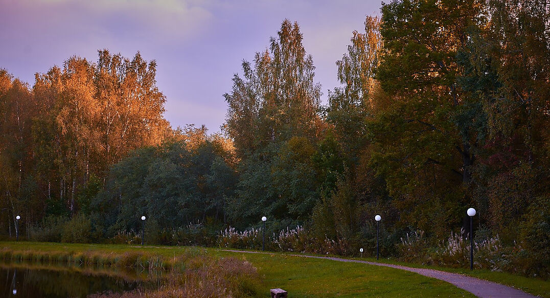 Лесные озера