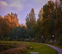 Лесные озера