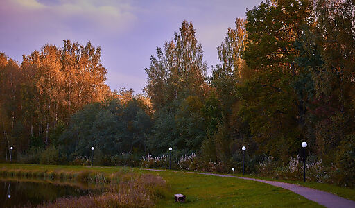 Лесные озера