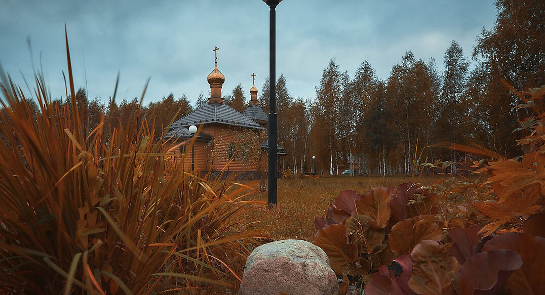 Лесные озера