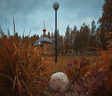 Лесные озера