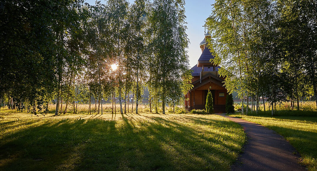 Лесные озера