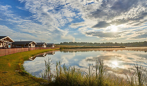 Лесные озера