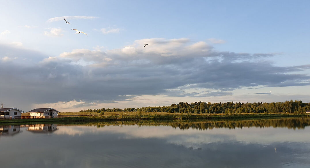 Лесные озера