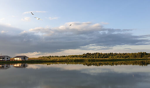 Лесные озера