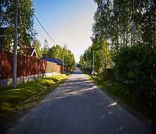 Лесные озера