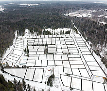 Лесная Быль