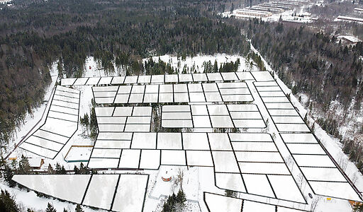 Лесная Быль