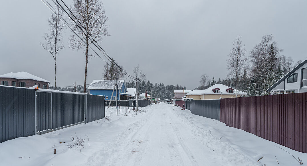 Лесная Быль