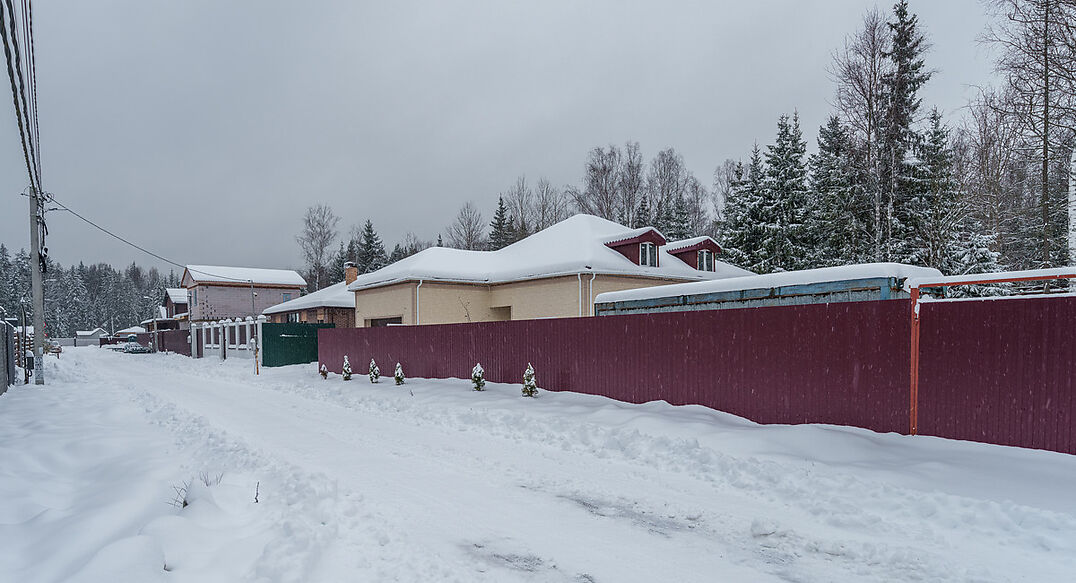 Лесная Быль