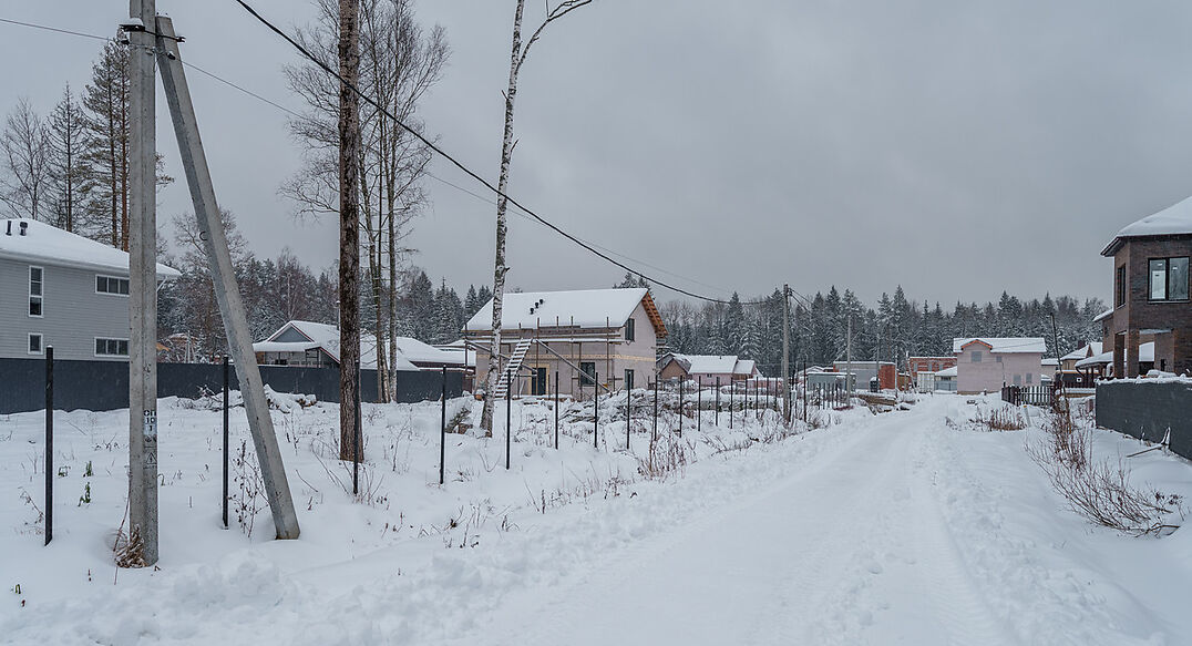 Лесная Быль