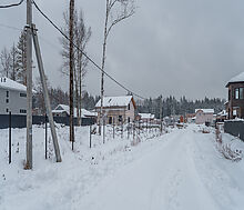 Лесная Быль