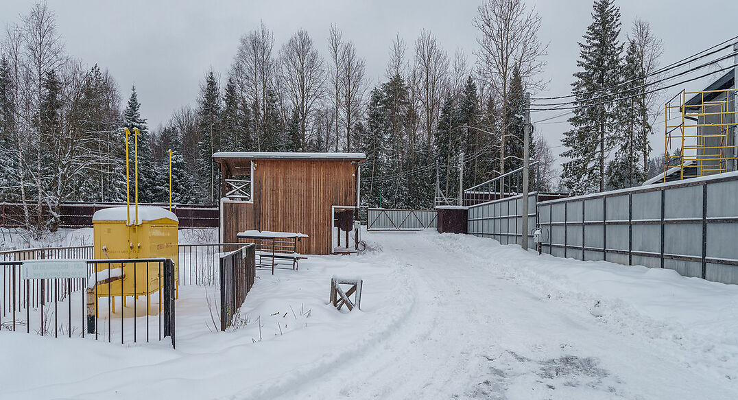 Лесная Быль