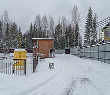 Лесная Быль