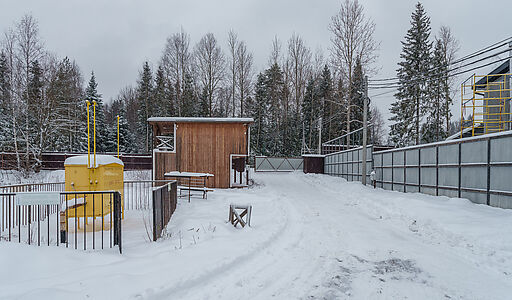 Лесная Быль