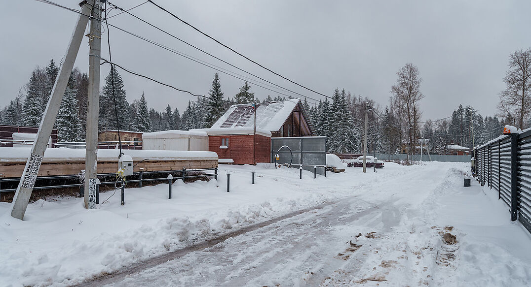 Лесная Быль