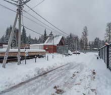 Лесная Быль