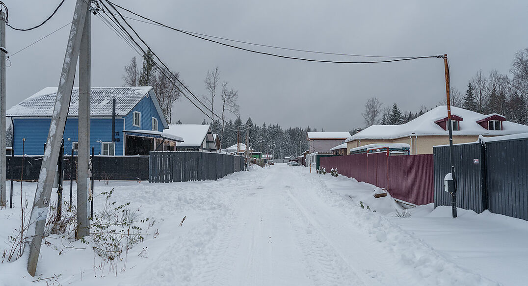Лесная Быль