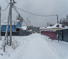 Лесная Быль