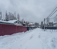 Лесная Быль