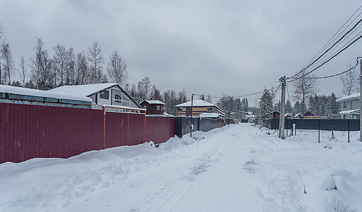 Лесная Быль