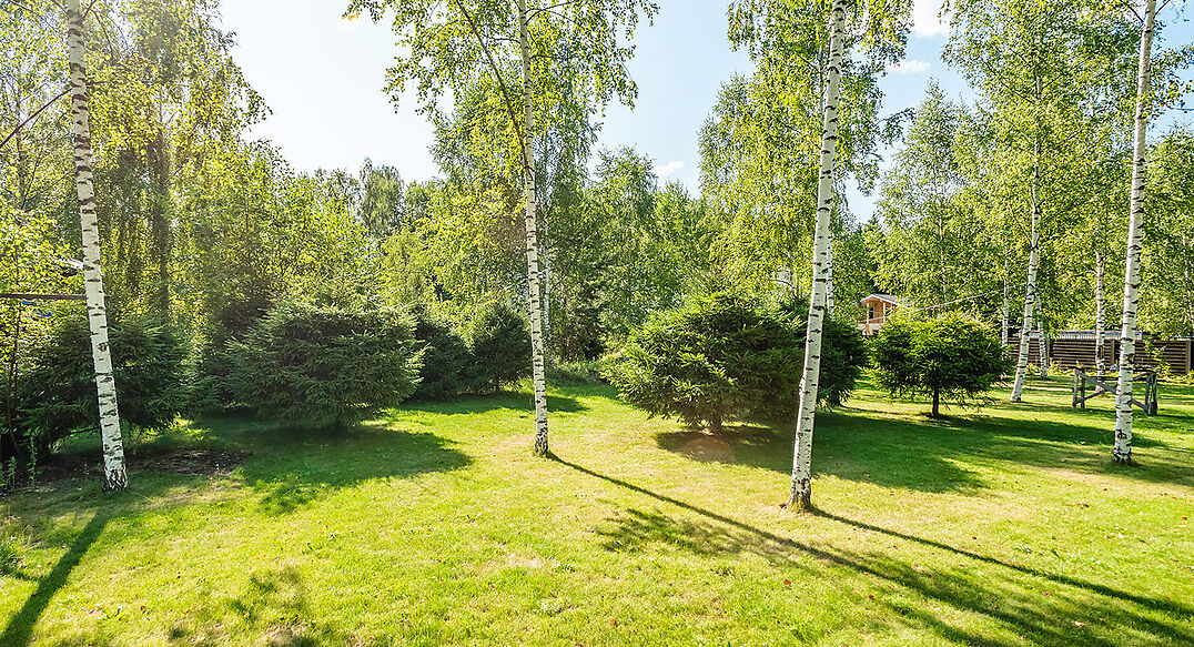 Лесной парк