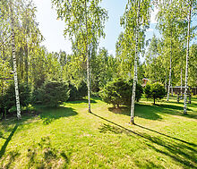 Лесной парк