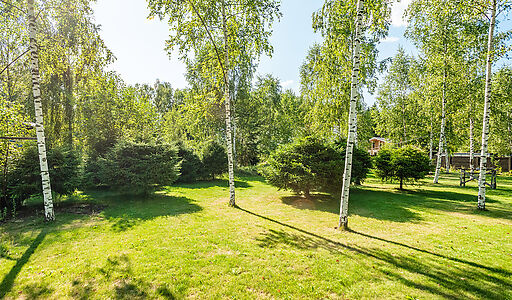 Лесной парк