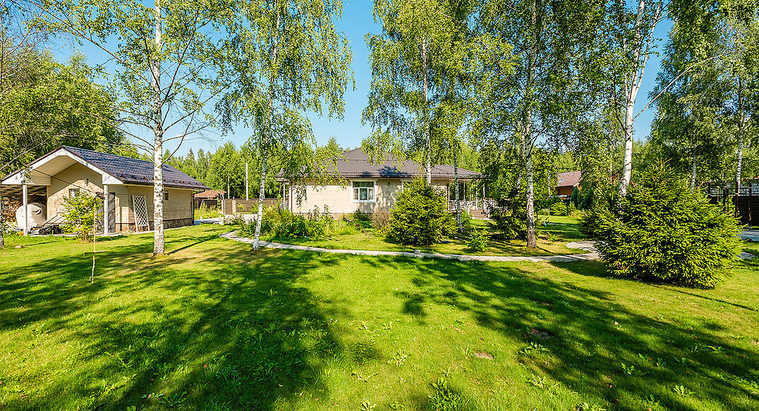 Лесной парк