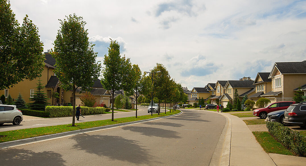 Новые вешки