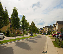 Новые вешки