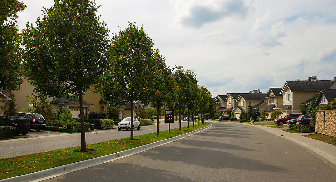 Новые вешки