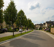 Новые вешки