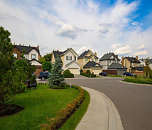 Новые вешки