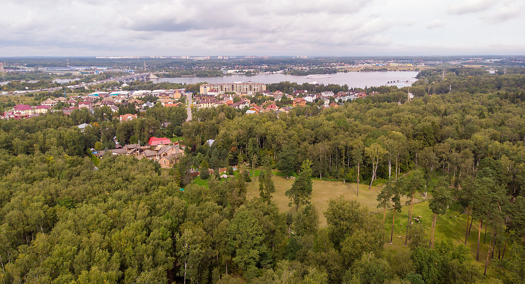 Смородинка