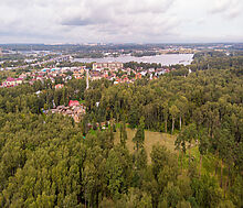 Смородинка