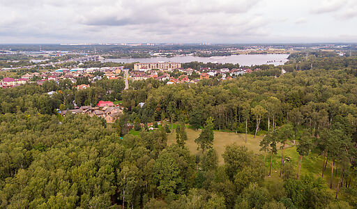 Смородинка