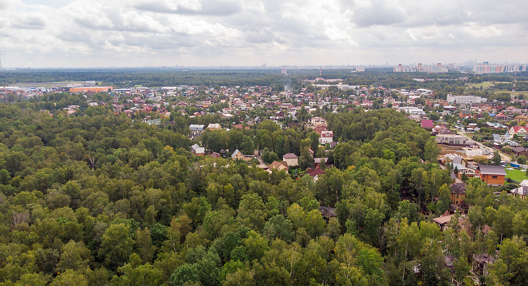 Смородинка