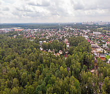 Смородинка