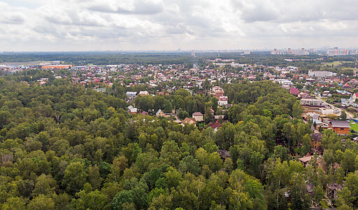 Смородинка