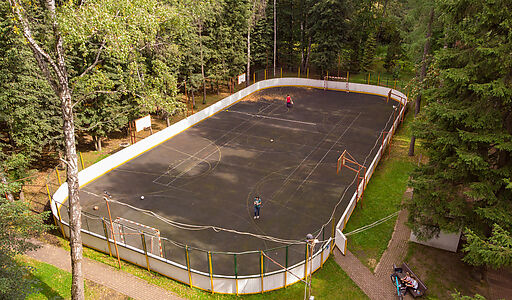 Смородинка